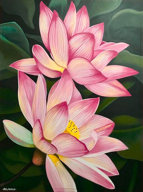 Stitch Images, Goddess Garden, Lotus Flower Painting, Lilies Drawing, Apple Picture, Lotus Flower Pictures, Lotus Flower Art, Lotus Painting, Semester 2