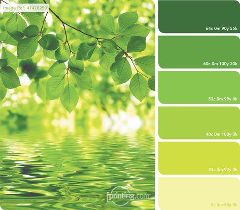 green palette Color Green Palette, Green Palette Colour Schemes, Green Colour Palettes, Green Color Palate, Green And Yellow Color Palette, Colour Palette Green, Green Color Palettes, August Colors, Palette Green