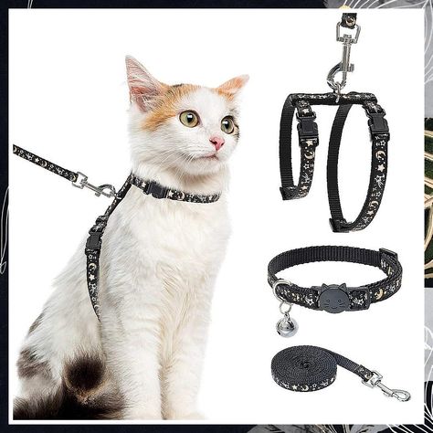 Cat Harness with Leash and Collar Set - Escape Proof Adjustable H-shped Cat Harness with Best Cat Harness, Kitten Harness, Adoption Fundraiser, Leash And Collar, Pet Collars & Harnesses, Diy Dog Toys, Cat Proofing, Pet Essentials, Cat Leash