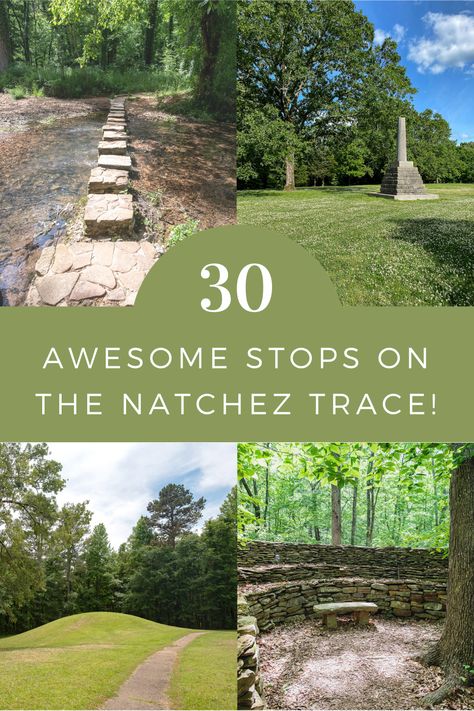 Natchez Trace State Park Tennessee, Natchez Trace Parkway Road Trips, Explore Mississippi, Mississippi Vacation, Natchez Ms, Visit Mississippi, Natchez Trace Parkway, Southern Road Trips, Nashville Travel Guide