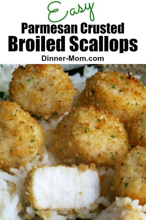 Broiled Scallops, Easy Scallop Recipes, Seafood Scallops, Canned Seafood, Baked Scallops, Seafood Entrees, Best Seafood Recipes, Shellfish Recipes, Scallop Recipes