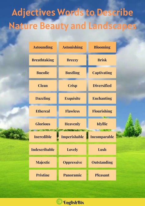 Unique Adjectives, Ocean Forest, Adjective Words, Best Character Names, Descriptive Words, Learn English Grammar, Outdoor Classroom, Writing Words, Explore Nature