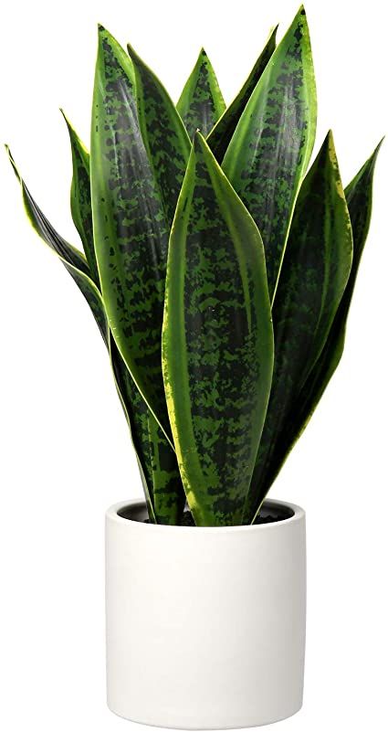 Fake House Plants, Fake Potted Plants, Sansevieria Plant, Fake Plants Decor, Philodendron Plant, Artificial Potted Plants, Floor Plants, Artificial Boxwood, Plants Indoor