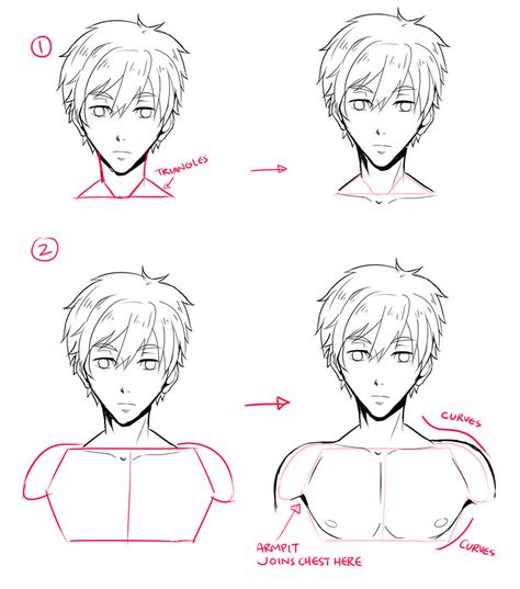 For male characters, the important part is the upper body, so let's continue on to my favorite(?) section of this lect~  1 - Well now that you have your head, draw the sloping-down shoulders. The red blocks/shapes here vaguely represent the muscle structure underneath.  2 - Guy's chest line is usually higher than a female's. Remember that the nipples are NOT in the MIDDLE of the breast..that is just weird.   3 - Here it might look difficult, but the more you practice drawing it, you'll find ... Manga Tutorial, Anime Tutorial, Drawing Faces, Hand Reference, Male Characters, Character Sketches, Anatomy Drawing, Poses References, Digital Painting Tutorials