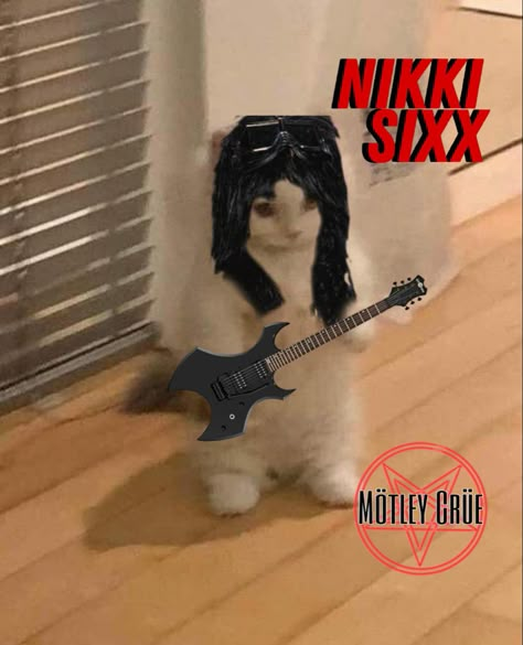 Motley Crue Nikki Sixx 80s, Funny Rockstar Photos, Nikki Sixx Pfp, Nikki Sixx Funny, Motley Crue Funny, Motley Crue Wallpaper, Motley Crue Logo, 80s Groupie, Motley Crue Nikki Sixx