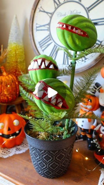 Bethany (Bargain Bethany) on Instagram: "Dollar Tree DIY Venus Fly Traps using Dollar Tree Footballs! Perfect for Halloween! #dollartree #dollartreediy #dollartreehalloweendiys #halloweendiys #diy" Venus Fly Trap Halloween Decor, Diy Venus Fly Trap Halloween Costume, Venus Fly Trap Halloween Decor Diy, Diy Venus Fly Trap Halloween, Diy Venus Fly Trap, Venus Fly Trap Halloween, Homemade Halloween Props, Bargain Bethany, Flies Trap Diy