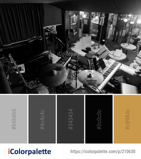 Music Colour Palette, Rock Music Color Palette, Rock And Roll Color Palette, Music Color Palette, Palette Challenge, Website Color Palette, Lounge Music, Color Palette Ideas, Brand Aesthetic