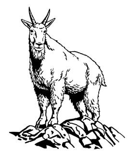 Mountain Goat Drawing, Mountain Goat Tattoo, Goat Tattoos, Goat Mountain, Goat Drawing, Animal Numbers, Antelope Animal, Goat Tattoo, Canada Tattoo