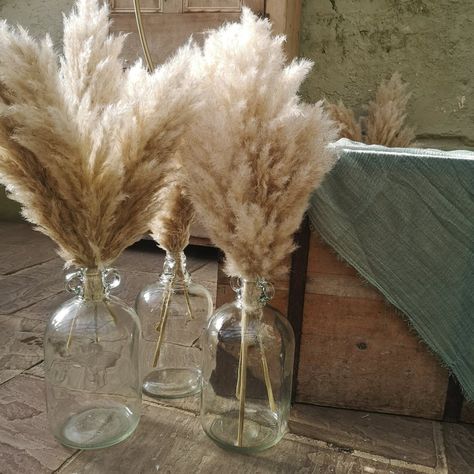 Glass Gallon Jug Wedding Decor, Big Glass Jars, Gallon Glass Jars, Room Aesthetics, Glass Jug, Church Design, Florida House, Boho Living, Boho Living Room