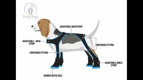 BootyChaps Dog Boots: The all-in-one dog boot harness system project video thumbnail Dog Boots Diy, Dog Paw Protection, Dog Snowsuit, Yorkie Clothes, Paracord Dog Leash, Dog Booties, Tallest Dog, Pet Coats, Dog Clothes Diy