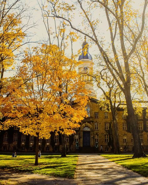 Golden autumn leaves surround Princeton University’s historic architecture on a sunny fall day, capturing the beauty of fall in Princeton, New Jersey Things To Experience, Jersey Day, Princeton New Jersey, Princeton Nj, Leaf Peeping, Princeton University, To Autumn, Fall Activities, Miss Americana