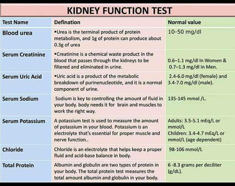 Kidney Function Test, Nursing Labs, Medical Laboratory Technician, Nursing Cheat, Nurse Study Notes, Kidney Function, Lab Values, Medical Laboratory Science, Nursing School Survival