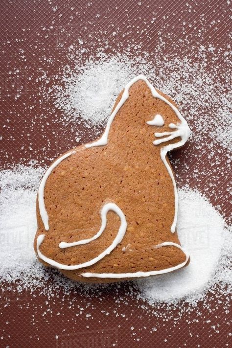 Gingerbread Cat Cookie, Decorative Icing, Gingerbread Cat, Kitty Cookies, Icing Ideas, Cat Cookies, Ginger Cat, Gingerbread Men, Ginger Cats