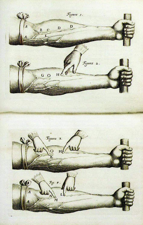 William Harvey "De Motu Cordis" ("On the Motion of the Heart and Blood") 1628. What Is Knowledge, William Harvey, 9th Grade, History Museum, Anatomy, Motion, Medical, History, Quick Saves