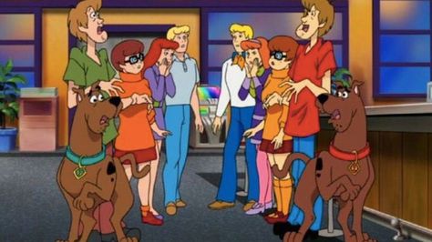 Mystery Inc, Scooby Doo Pictures, Scooby Doo Mystery Inc, Scooby Doo Images, Scooby Doo Mystery Incorporated, New Scooby Doo, Talking Dog, Velma Dinkley, Scooby Doo Mystery