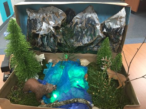 Taiga Biome Shoebox Habitat, Ecosystems Diorama, Diaroma Ideas, Ocean Diorama, Biomes Project, Diorama Kids, Ecology Projects, Diarama Ideas, Ecosystems Projects