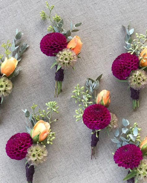 The sweetest dahlia boutonnières! Dahlia Boutineer, Dalia Bouquet, Dahlia Boutonniere, Small Bridesmaid Bouquets, Homecoming Flowers, Wedding Decorating, Bridesmaid Bouquets, Polka Dot Wedding, Wedding Mood Board