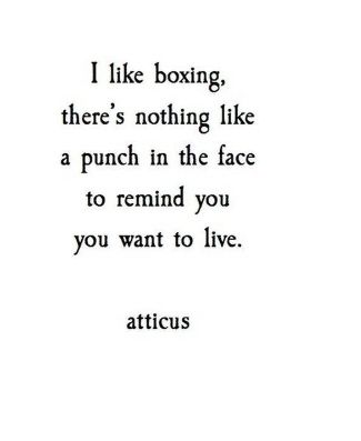 Keep fire within you alive.! Kickboxing Quotes, Boxer Aesthetic, Trening Sztuk Walki, Punch In The Face, Boxing Quotes, Boxing Girl, Warrior Quotes, Sports Quotes, Boxing Workout