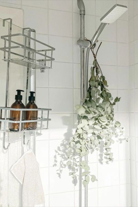 How To Hang Eucalyptus In Shower Bathroom, Eucalyptus In Shower Bathroom, Eucalyptus Shower Head, Shower Eucalyptus, Shower Essentials, Fresh Eucalyptus, Dried Eucalyptus, Glass Dispenser, Spring Decor Diy