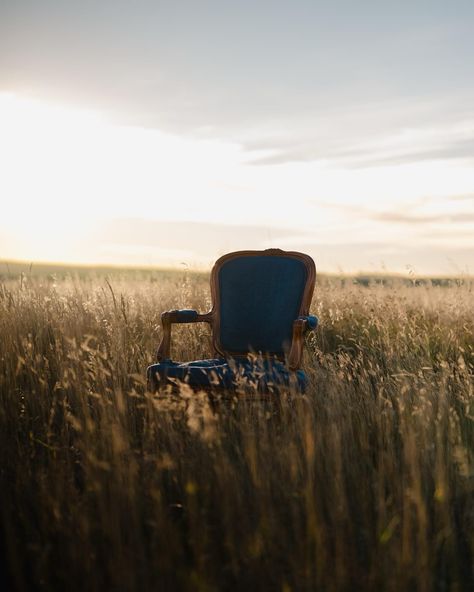 vintage chair in field photoshoot Chair In Field Photography, In Field Photography, Ep Cover, Field Photoshoot, Field Photography, Vintage Chair, Cover Ideas, Fields Photography, Senior Session