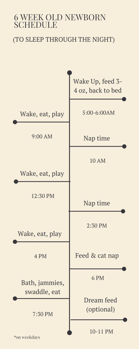 8 Week Old Schedule, 2 Week Old Feeding Schedule, 5 Week Old Feeding Schedule, 6 Week Old Baby Milestones, 6 Week Old Schedule, 5 Week Old Baby Schedule, 8 Week Old Baby Schedule, 6 Week Old Baby Schedule, Newborn Education