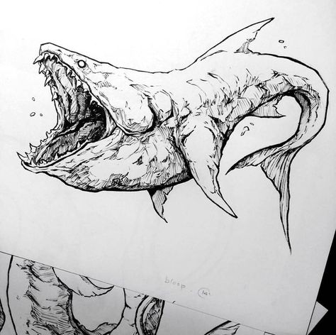 Beautiful shark ink lineart drawing Art by @soriekim Sorie Kim, Dollar Sign Tattoo, Sign Tattoo, Summer Illustration, Dollar Sign, Creature Drawings, Ink Drawings, Creature Concept Art, Animal Sketches