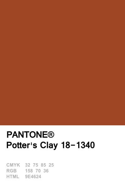 Pantone 2016 Potter's Clay More Skin Color Paint, Pantone Swatches, Pantone 2016, Pantone Colours, Potters Clay, Pantone Palette, Pantone Colour Palettes, Earthy Color Palette, Pantone Colors