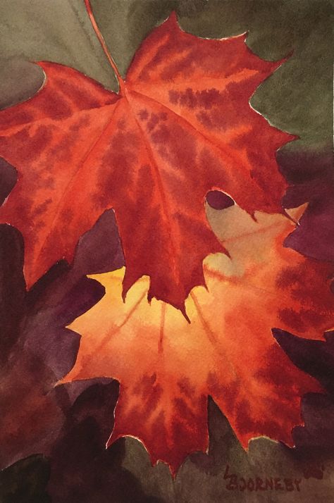 This fine art print on watercolor paper duplicates an original watercolor by artist Ladd Bjorneby.  Ladd notes:  A red Norway maple growing along the Spokane river turns intense colors in October.  One day I stopped to photograph the tree and found these leaves underneath it.  I carried the leaves with me so that I could paint from nature and not simply from a photograph.  Watercolor is the perfect medium for capturing the glow of red maple leaves in the fall.   This print is mounted on foam cor Maple Leaf Watercolor, Maple Leaf Art, Abs Art, Leaf Identification, Fall Paintings, Negative Painting, Paint Tutorials, Higher Art, Red Maple Leaf