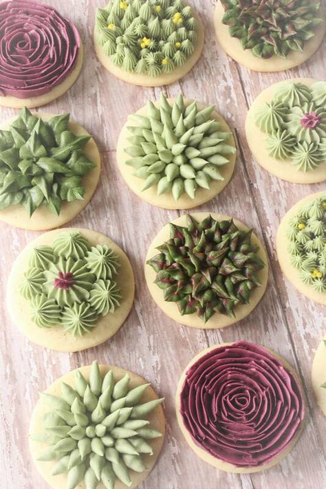 Succulent Cookies, Buttercream Cookies, Wedding Shower Cookies, Lavender Cookies, Succulent Cupcakes, Succulent Cake, Buttercream Decorating, Frosting Colors, Cookie Videos