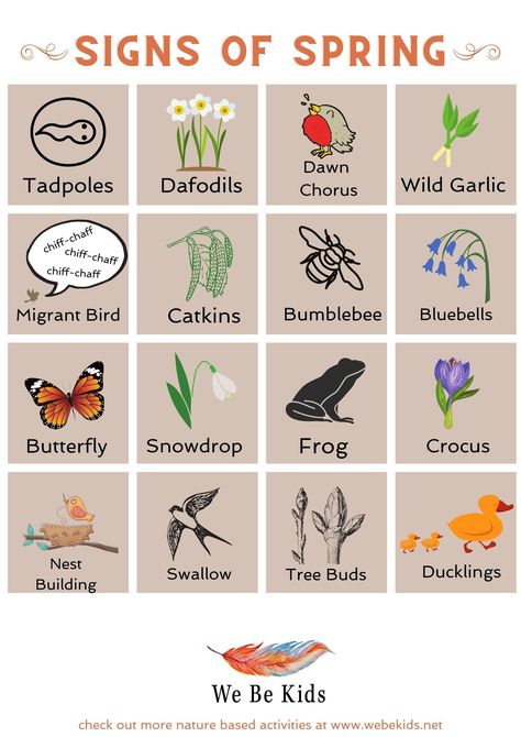 Spring For Preschool, Teaching Prek, Spring Lesson Plans, Outside Crafts, Spring Preschool Activities, Nature Games, Migrating Birds, Spring Poster, Nature Club