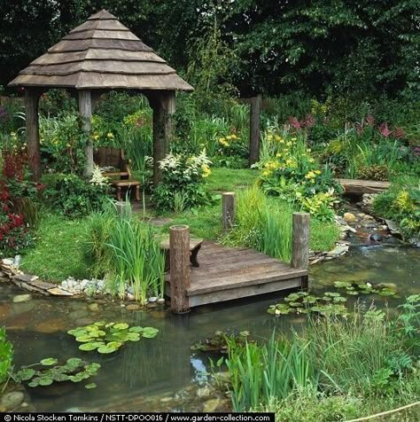 Water Iris, Willow Herb, Pond Garden, Water Gardens Pond, Garden Pond Design, Natural Pond, Water Pond, Pond Design, Water Features In The Garden