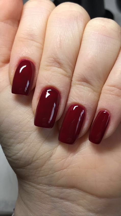 Nail Color For Wine Dress, Short Work Nails Red, Short Square Dark Red Nails, Gel Nails Dark Red, Squoval Red Nails, Short Nails Burgundy, Maroon Short Nails, Square Dark Red Nails, Short Maroon Nails