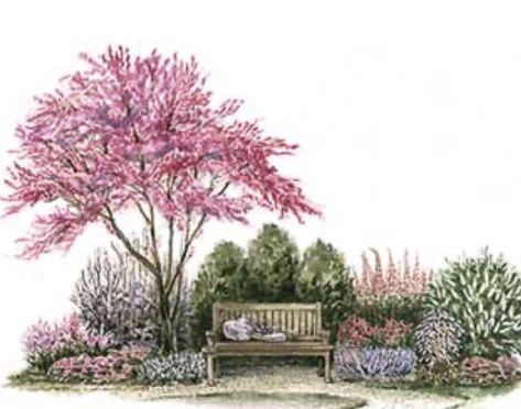 Backyard Escape, Flower Garden Plans, Backyard Getaway, Garden Nook, Backyard Garden Layout, Redbud Tree, Garden Plan, Garden Design Layout, Cottage Garden Plants