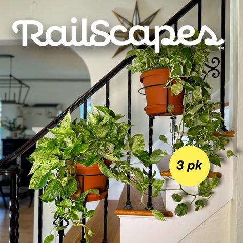 Room For Plants, Backyard Hammock, Japandi Interiors, Railing Planters, Plant Hooks, Small Deck Decorating Ideas, Floating Plants, Metal Railings, Creative Flower Arrangements