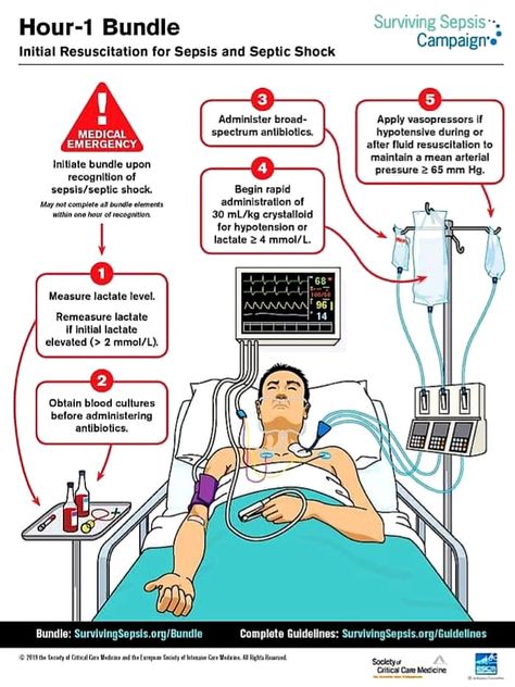 Medical Terminology Study, Nurse Skills, Septic Shock, Nursing Information, Nursing School Essential, Nurse Study Notes, Nursing Mnemonics, Nursing Student Tips, Nursing School Survival