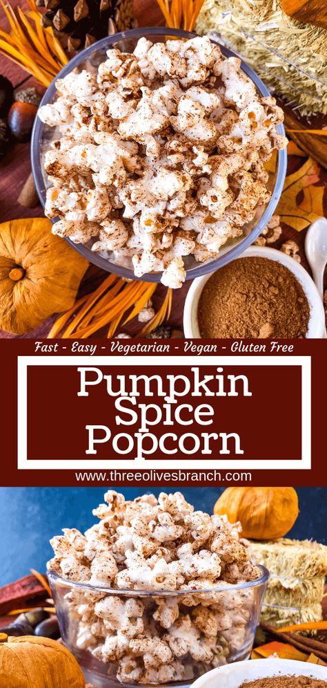 This Homemade Pumpkin Spice Popcorn is ready in just 10 minutes! A sweet and savory pumpkin spice is sprinkled across fresh homemade popcorn for a fast and easy snack recipe. Gluten free, vegan, and vegetarian. #pumpkinspice #fallsnacks #fallrecipes Sweet Popcorn Seasoning, Homemade Popcorn Seasoning, Popcorn Seasoning Recipes, Flavored Popcorn Recipes, Popcorn Seasonings, Popcorn Recipes Easy, Savory Snack Recipes, Gluten Free Pumpkin Spice, Spiced Popcorn