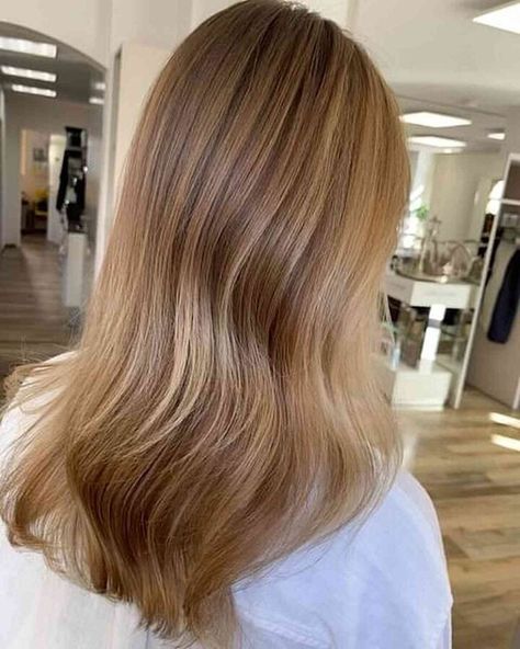 30 Sweetest Caramel Blonde Hair Color Ideas You'll See This Year Blonde Highlights On Brunette Hair, Blonde Highlights On Brunette, Highlights On Brunette Hair, Highlights On Brunette, Warm Light Brown Hair, Caramel Blonde Highlights, Rose Gold Hair Color Ideas, Gold Hair Color Ideas, Caramel Blonde Hair Color