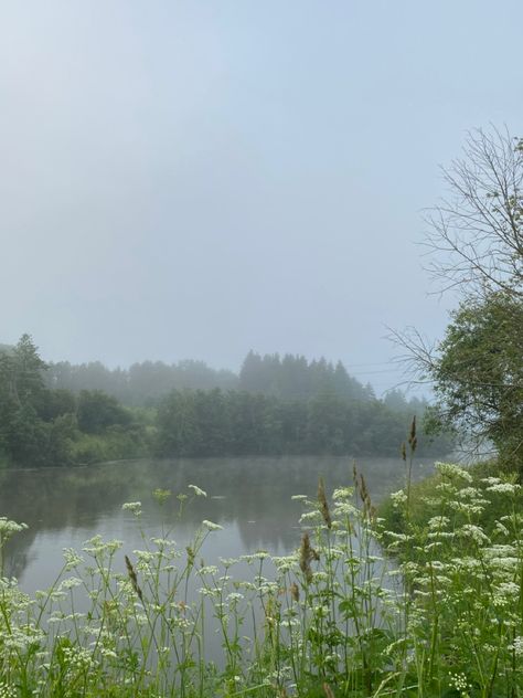 Foggy Summer Morning, Morning Aesthetic Nature, Cold Spring Aesthetic, Morning Fog Aesthetic, Cold Morning Aesthetic, Early Summer Aesthetic, Summer Morning Aesthetic, Early Spring Aesthetic, Europe Core