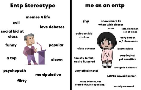 Entp Stereotypes, Entp Stereotype Vs My Experience, Entp Personality Traits, Entp Fashion, Entp Memes Funny, Entp In Love, Entp Funny, Entp Characters, Entp Art