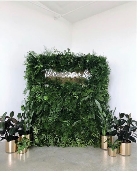 Band Backdrop, Artificial Vertical Garden, Greenery Wall, Corporate Event Design, Emerald Green Weddings, Wedding Backdrop Design, Flower Wall Backdrop, Green Backdrops, Backdrop Design