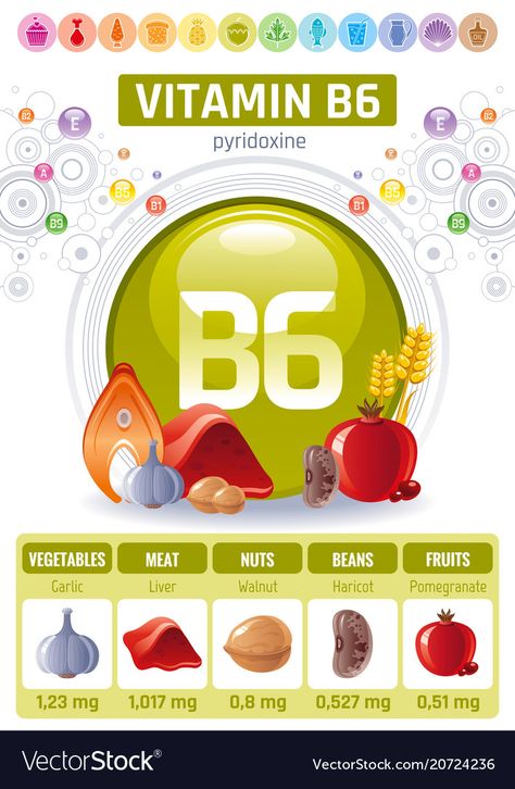 Pyridoxine vitamin b6 rich food icons healthy Vector Image Vitamin A Foods, Rich Food, Hair Nutrition, Boost Immune System, Vitamin B6, Vitamin B12, Food Source, Flat Icon, Nutrition Recipes