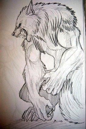 sweet werewolf drawing. How To Draw A Werewolf, Werewolf Drawing Refrences, Werewolf Drawing Sketches, Werewolf Cute Drawing, Drawing Werewolves, Werewolf Sketch, Werewolf Transformation Drawing, Werewolf Tattoo, Werewolf Drawing