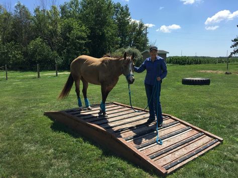 Horse bridge Horse Agility Obstacles Diy, Diy Horse Gate Obstacle, Trail Horse Obstacles, Horse Jump Standards, Mountain Trail Horse Obstacles, Eagle Project, Obstacle Course, Horse Diy, Horse Training