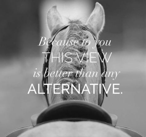 Happy National Horse Day! Equine Quotes, Inspirational Horse Quotes, Horse Riding Quotes, Equestrian Quotes, Riding Quotes, Horses Equestrian, Horse Inspiration, Funny Horses, Country Girl Quotes