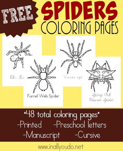 Types of Spiders Coloring Pages – In All You Do Spider Unit Study, Spiders Preschool, Homeschooling Science, Spider Theme, Types Of Spiders, Spider Coloring Page, Don't Bother Me, Free Homeschool Curriculum, Creepy Crawlers