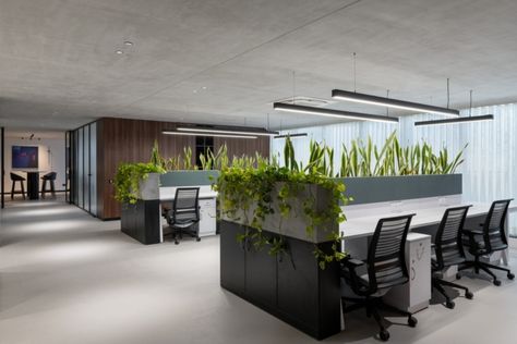 Chemical Bonds, Office Design Concepts, Storage Unit Design, Contemporary Office Design, Office Design Inspiration, Green Office, Overhead Storage, Office Partition, Contemporary Office