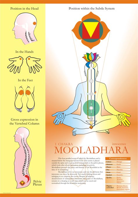 “The first centre is called the Mooladhara centre. It has four petals (sub-plexuses), is placed below the triangular bone, and is responsible on the physical level of the manifestation of the… Sahaja Yoga Meditation, Muladhara Chakra, Shri Mataji, Sahaja Yoga, Chakra Heilung, Yoga Chakra, Fitness Video, Chakra System, Chakra Yoga