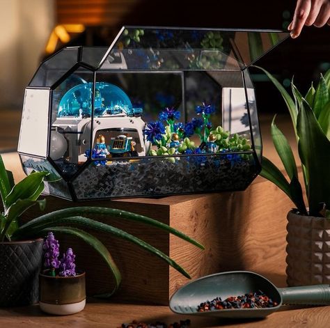 Lego Terrarium, Lego Shop, Botanical Collection, Lego Creations, How To Make Your, Terrarium, Make Your Own, Lego, Projects To Try