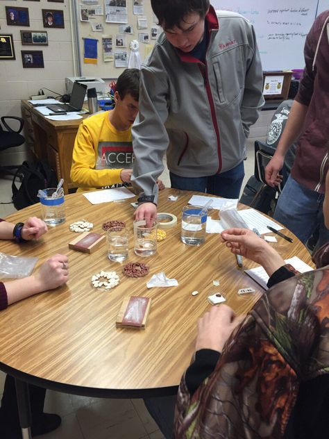 Students scarifying seeds by different methods is a great way to reinforce a Horticulture lesson on the topic. Brad Taylor - www.OneLessThing.net Teaching Plants, Ag Education, Ag Teacher, Farm School, Agriculture Education, Animal Science, Plant Science, Wordpress Design, School Garden