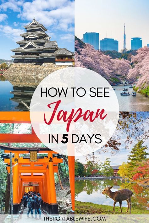 5 Days In Tokyo Japan, 5 Days In Japan, 4 Days In Japan, 5 Days In Tokyo, Solo Trip To Japan, Tokyo 5 Days Itinerary, Japan Budget, Japan Planning, Cross Country Training